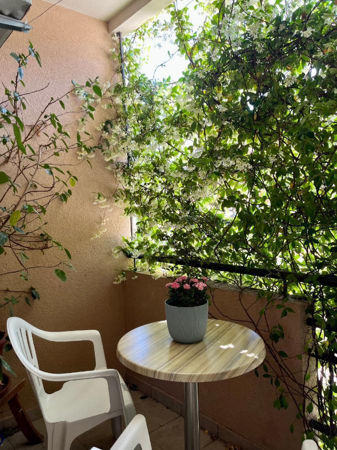 Homestay Goran I Jelena Zec Budva